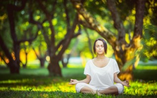 华体会HTH_狼王荐彩欧洲杯深度解析，长期胜率稳定的预测平台发布最新稳胆推荐